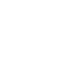 Shield with fleur-de-lis symbol